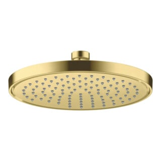 hansgrohe Kopfbrause EcoSmart plus Axor Deck.- o Wandmont., 220mm, 1j, brush. br