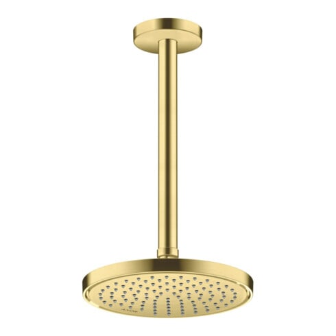 hansgrohe Kopfbrause EcoSmart plus Axor Deck.- o Wandmont., 220mm, 1j, brush. br