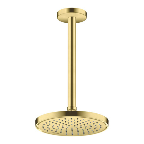 hansgrohe Kopfbrause EcoSmart plus Axor Deck.- o Wandmont., 220mm, 1j, brush. br