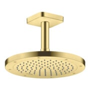 hansgrohe Kopfbrause EcoSmart plus Axor Deck.- o Wandmont., 245mm, 1j, brush. br-4