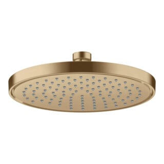 hansgrohe Kopfbrause EcoSmart plus Axor Deck.- o Wd, 220mm, 1j, brush. bron