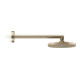 hansgrohe Kopfbrause EcoSmart plus Axor Deck.- o Wd, 220mm, 1j, brush. bron-2
