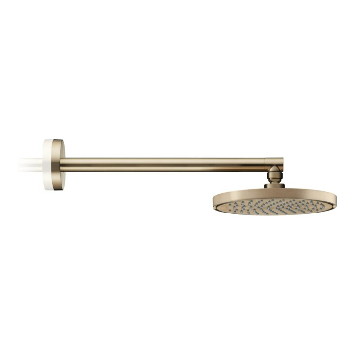 hansgrohe Kopfbrause EcoSmart plus Axor Deck.- o Wd, 220mm, 1j, brush. bron