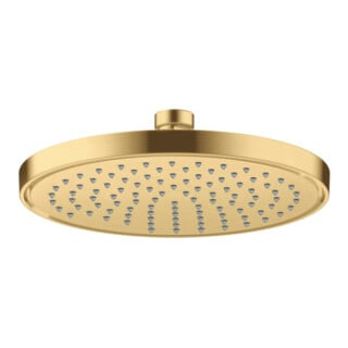 hansgrohe Kopfbrause EcoSmart plus Axor Deck.- o Wd, 220mm, 1j, brush. gol opt