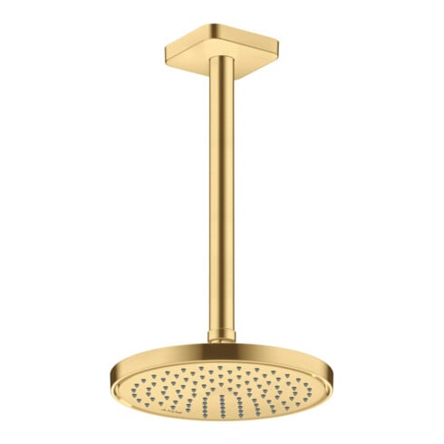 hansgrohe Kopfbrause EcoSmart plus Axor Deck.- o Wd, 220mm, 1j, brush. gol opt