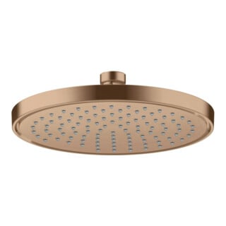 hansgrohe Kopfbrause EcoSmart plus Axor Deck.- o Wd, 220mm, 1j, brush. r gol