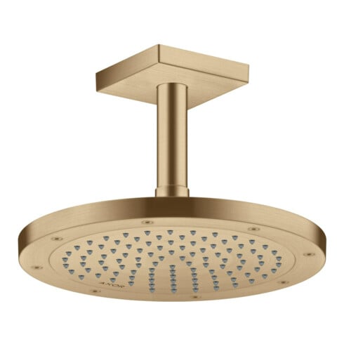 hansgrohe Kopfbrause EcoSmart plus Axor Deck.- o Wd, 245mm, 1j, brush. bron