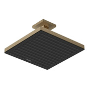 hansgrohe Kopfbrause Pulsify E 11,7 l/min, 0,9 bar, brushed bronze