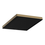 hansgrohe Kopfbrause Pulsify E 5,5 l/min, 0,9 bar, brushed bronze