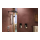 hansgrohe Kopfbrause Raindance Alive Q 214x343mm, EcoSm., Mind.-Druck 1 b, ch