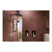 hansgrohe Kopfbrause Raindance Alive Q 214x343mm, EcoSm., Mind.-Druck 1 b, ch-5