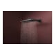 hansgrohe Kopfbrause Raindance Alive Q 2jet, Mind.-Druck 1 b, brush. bla chrome