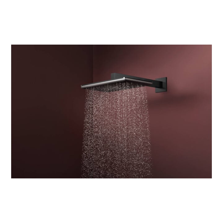 hansgrohe Kopfbrause Raindance Alive Q 2jet, Mind.-Druck 1 b, brush. bla chrome