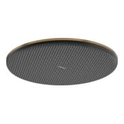 hansgrohe Kopfbrause Raindance Alive S 300mm, Eco, Mind.-Druck 1 b, brush. bron-1