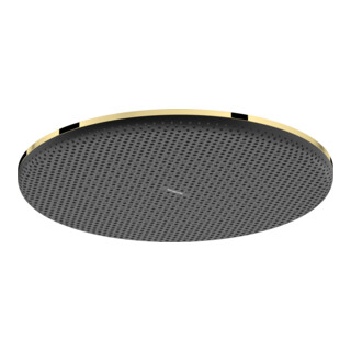 hansgrohe Kopfbrause Raindance Alive S 300mm, Eco, Mind.-Druck 1 b, p gol opt