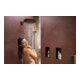hansgrohe Kopfbrause Raindance Alive S 300mm, EcoSm., Mind.-Druck 1 bar, chrom