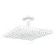hansgrohe Kopfbrause Raindance E 300 x 300 mm Decke 7,4 l/min EcoSmart