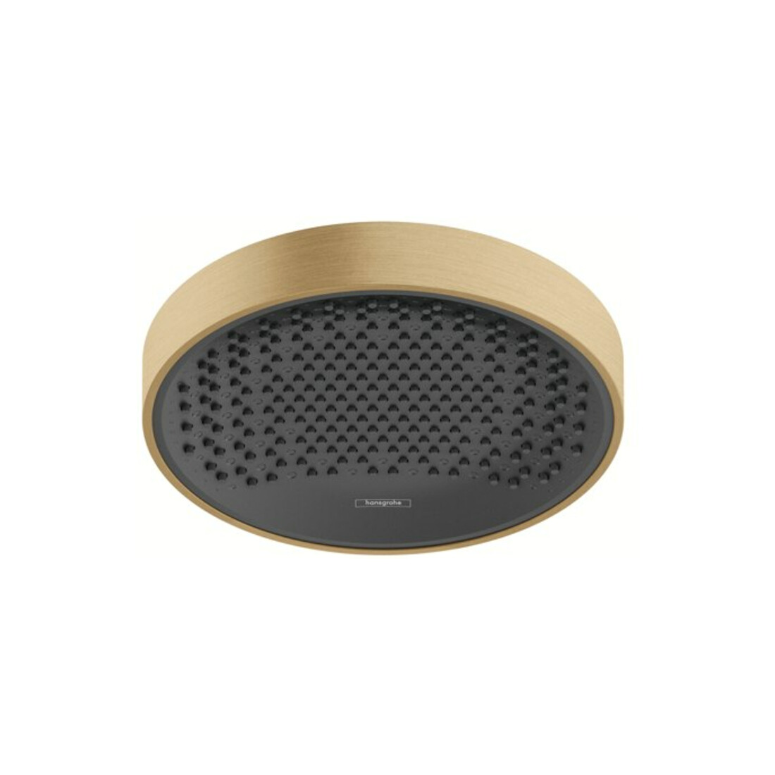 hansgrohe Kopfbrause Rainfinity 250 EcoSm. 1j, Decke-/Wand, 9 l/m., brush. bron