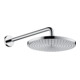 hansgrohe Tellerkopfbrause Raindance S 460mm Brausearm, chrom, 1jet-1