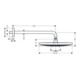 hansgrohe Kopfbrause SELECT S 300 2jet RAINDANCE DN 15, mit Brausearm 390 mm chrom-1