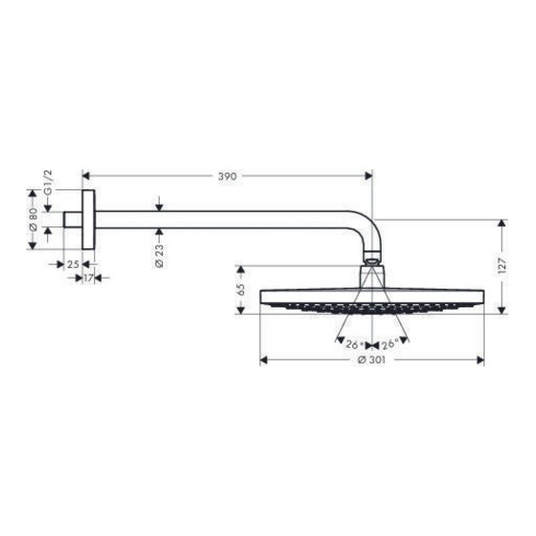 hansgrohe Kopfbrause SELECT S 300 2jet RAINDANCE DN 15, mit Brausearm 390 mm chrom
