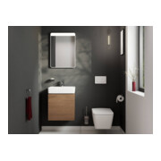 hansgrohe Meuble sous lavabo Xilesa E 480x380mm, 1 tiroir, f HWB, couleur Cachemire-5