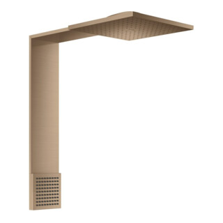 hansgrohe Module de douche ShowerComposition 250x250 mm, chromé brossé, 2 jets, avec support