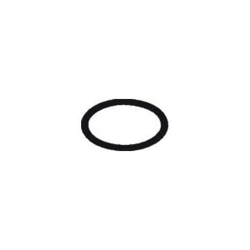 hansgrohe O-Ring 20x1mm