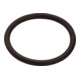 hansgrohe O-Ring 34x3mm-1