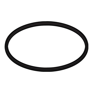 hansgrohe O-Ring 58 x 3