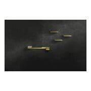 hansgrohe Papierhalter Axor universal mit Deckel, Metall, polished gold optic-3