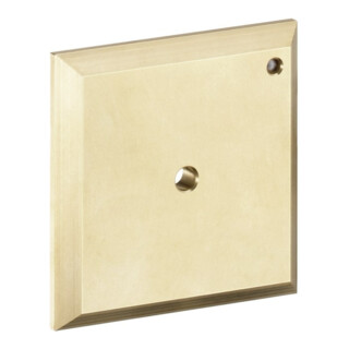hansgrohe Plaque de rinçage iControl manuelle, chrome