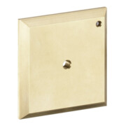 hansgrohe Plaque de rinçage iControl manuelle, chrome