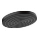 hansgrohe Pomme de douche Pulsify S 260 EcoSmart 1jet, noir mat-1