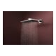 hansgrohe Pomme de douche Raindance Alive Q 214x343mm, press. min. 0,5 bar, chrome