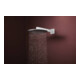 hansgrohe Pomme de douche Raindance Alive S 2 jets, EcoSmart, Pression min. 1,2 b, blanc mat