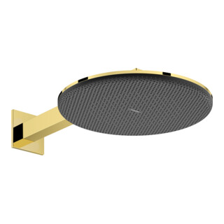 hansgrohe Pomme de douche Raindance Alive S 2jets, Eco, Pression min. 1,2 b, p gol opt