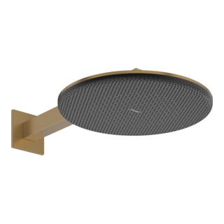 hansgrohe Pomme de douche Raindance Alive S 2jets, pression min. 0,9, bronze brossé