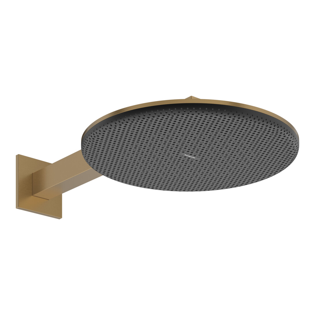 hansgrohe Pomme de douche Raindance Alive S 2jets, pression min. 0,9, bronze brossé