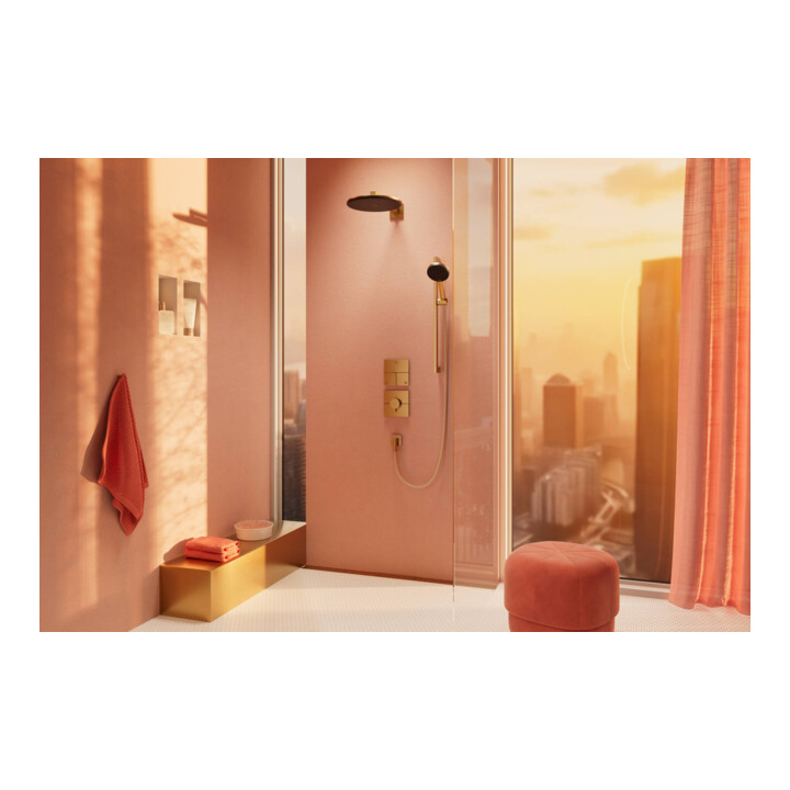 hansgrohe Pomme de douche Raindance Alive S 2jets, pression min. 0,9, bronze brossé