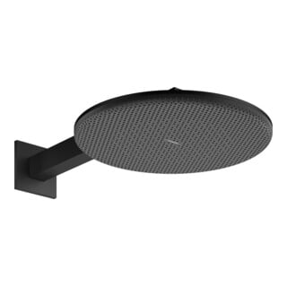 hansgrohe Pomme de douche Raindance Alive S 2jets, Pression min. 0,9, noir mat
