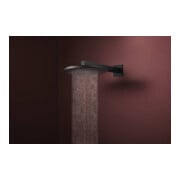 hansgrohe Pomme de douche Raindance Alive S 2jets, Pression min. 0,9, noir mat-4