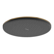 hansgrohe Pomme de douche Raindance Alive S 300 mm, pression min. 0,6 b, bronze brossé-1