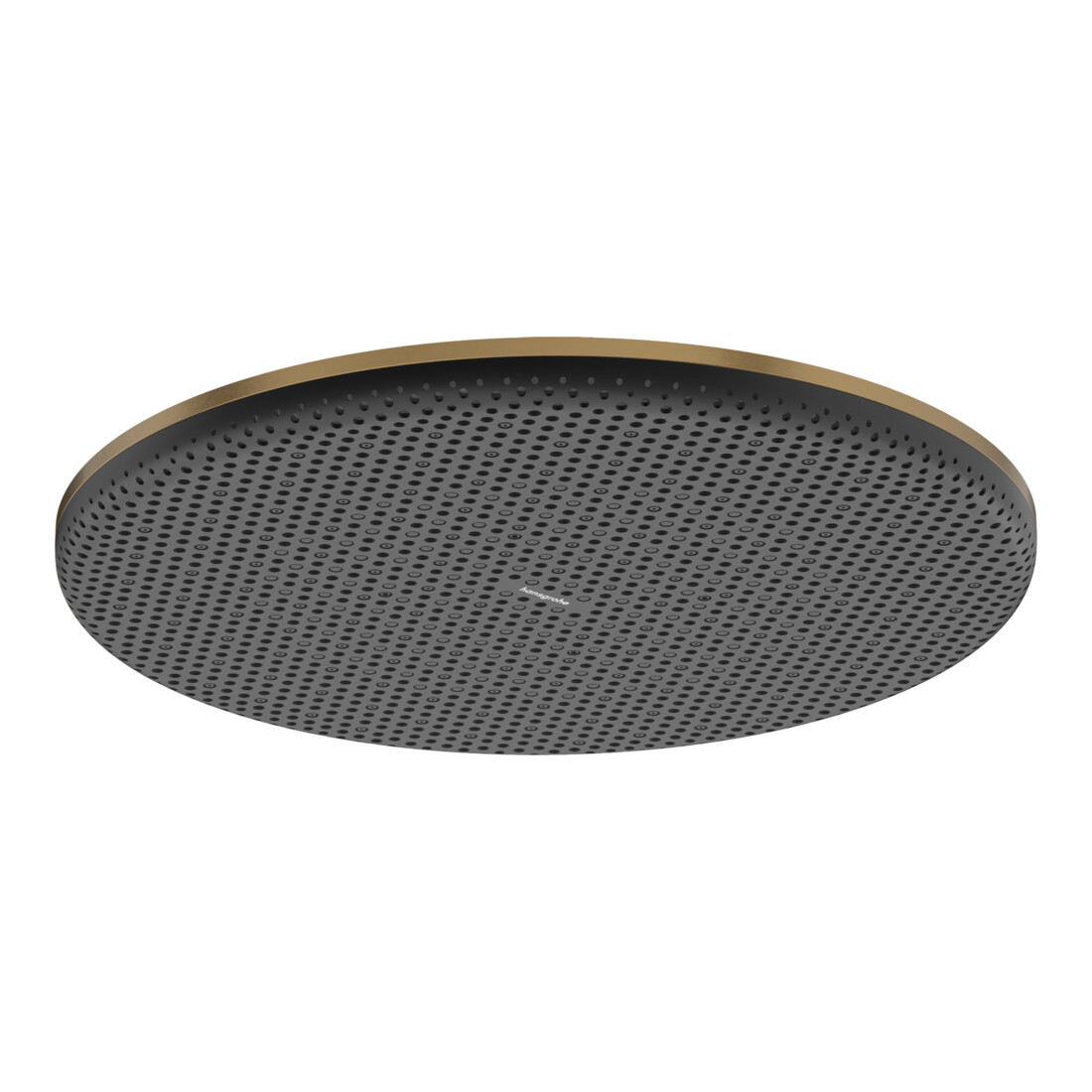 hansgrohe Pomme de douche Raindance Alive S 300 mm, pression min. 0,6 b, bronze brossé