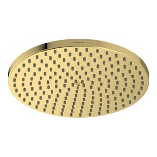 hansgrohe Pomme de douche Raindance S 240, 240 mm, 1 an, or poli