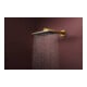 hansgrohe Pomme de tête Raindance Alive Q 2jets, Pression min. 1 bar, or poli