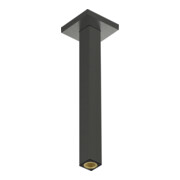 hansgrohe Raccord plafond E 300mm BBC-1