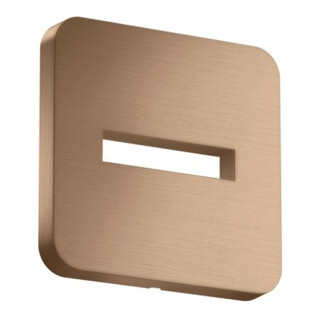 hansgrohe Rosace 130x130 mm, douce, montage mural, brossée r gol