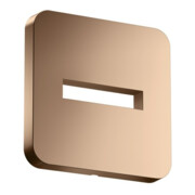 hansgrohe Rosace 130x130 mm, douce, montage mural, poli r gol