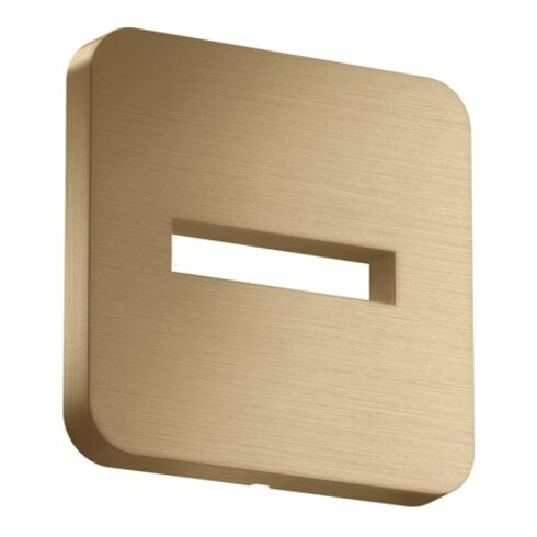 hansgrohe Rosette 130x130mm, soft, Wandmont., brush. bron
